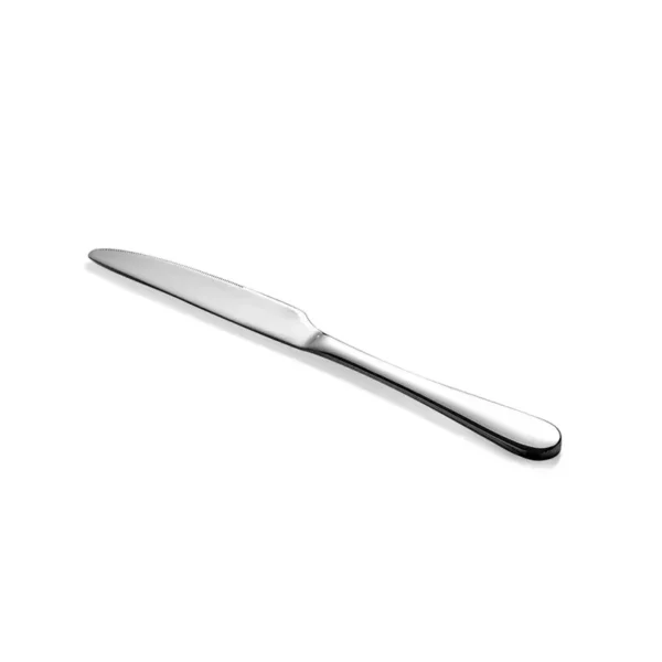 Hot Product Nordic Stainless Steel Cutlery Set Kitchen Spoon Stainless Steel Cutlery Set - Image 5